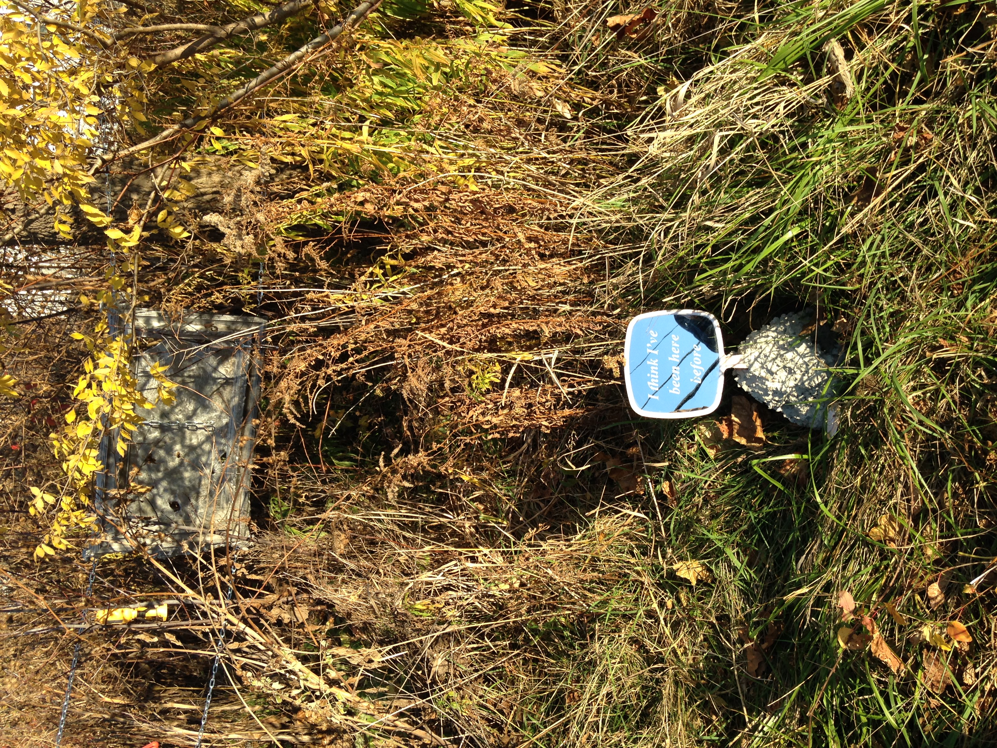 ISawSomethingInTheFields.LydiaKuzak,